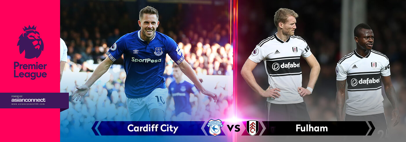 Cardiff City vs Fulham AsianConnect