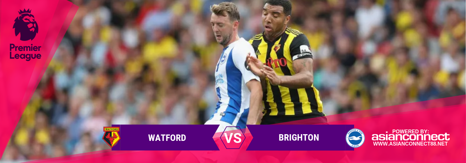 EPL Watford Vs. Brighton Asian Connect